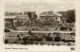 Postcard in P W & M Vello Series  -  Botanic Gardens in Inverleith Row  -  Greenhouses