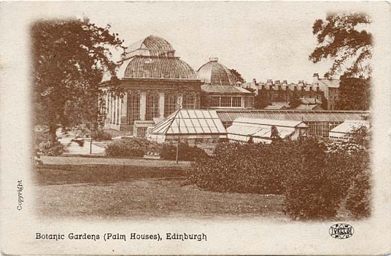 Post Cards  -  P W & M  -  Vello Series  Botanic Gardens, Inverleith Row  -  Palm Houses