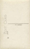 The back of a Jerome postcard  -  Date not known  -  Elephant