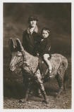 Photo from the studio of Robert McLelland  -  Grandfather and Uncle on  a Stuffed Donkey