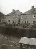 The backs of the Villas in Boswall Drive  -  1955