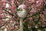 View through a mirror, looking to the east along Boswall Road, Trinity