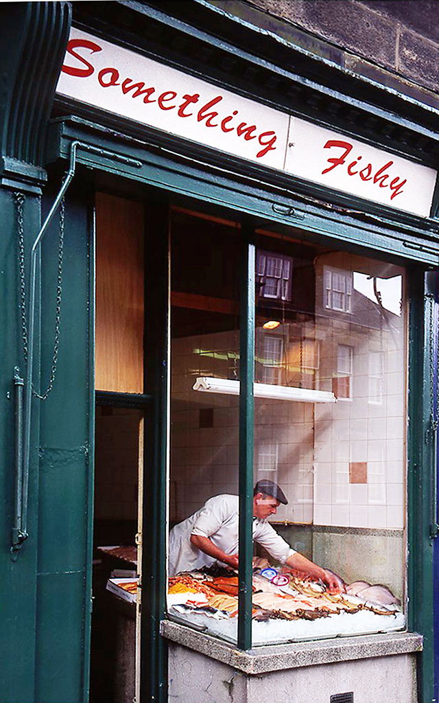 16a Broughton Street, Something Fishy - 1993