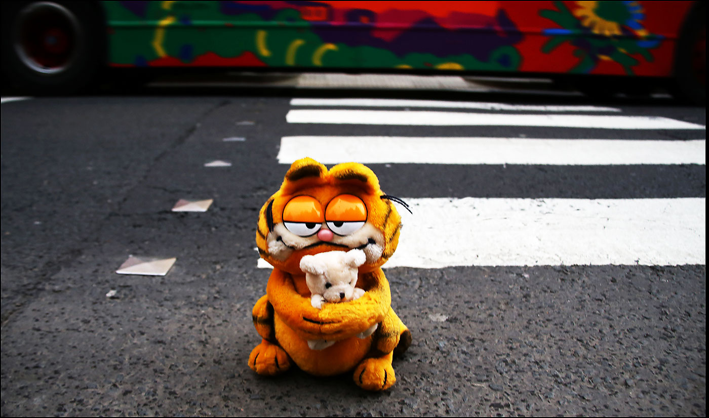 Garfield crosses Canongate at Royal Mile Primary School