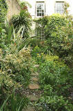  Garden, 6b Chessel's Court, Canongate, part of Edinburgh's Royal Mile  -  photographed May 2006  -  photographed May 2006