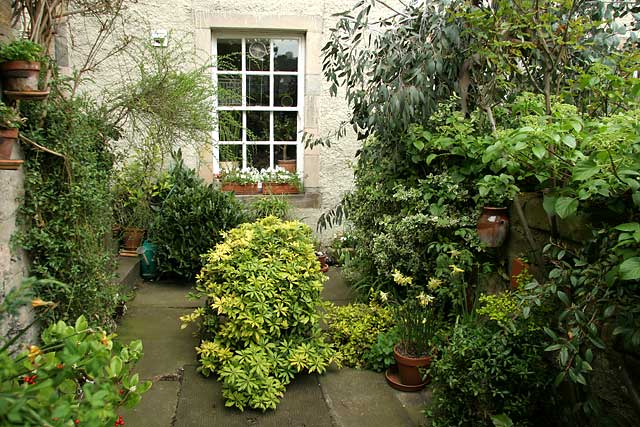  Garden, 6b Chessel's Court, Canongate, part of Edinburgh's Royal Mile  -  photographed May 2006