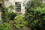  Garden, 6b Chessel's Court, Canongate, part of Edinburgh's Royal Mile  -  photographed May 2006  -  photographed May 2006