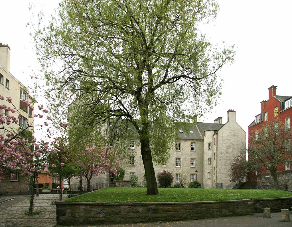  The south side of Chessel s Court  -  photographed May 2006