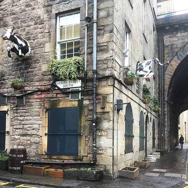 Cowgate  -  Looking west from the junction of Cowgate and Niddry Street South, 2016