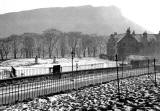 Looking towards 'The Plantations' from Dumbiedykes Road after 'The Brickies' had been demolished.