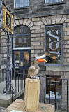 Jungle City Exhibition - Hornbill outside The Scottish Gallery, Dundas Street, New Town, Edinburgh  -  September 2011