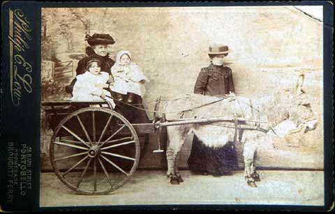 Cabinet Print - donkey, ladies and children - Photographer: Philip E Low