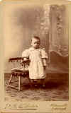 Cabinet Print  -  Photographer: Robert S Webster