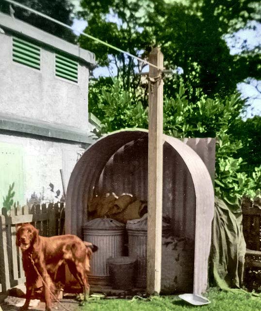 Anderson Shelter and bins at Buttercup Dairy, Clermiston, Edinburgh - 1955