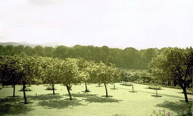 Garden of the 'Big House' at Buttercup Poultry Farm, Clermiston, Edinburgh - 1955