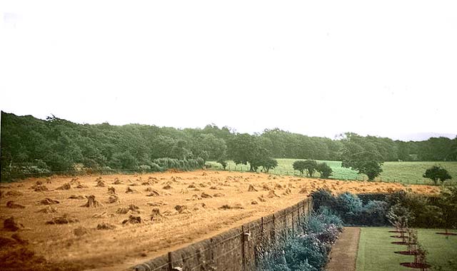 Big House Garden and beyond - Buttercup Dairy Farm, Clermiston, Edinburgh, 1955