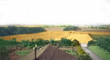 Looking towards Turmhouse from Buttercup Dairy Farm, Clermiston, Edinburgh - 1955