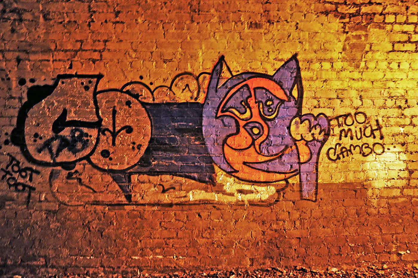 Artwork in the old Railway Tunnel at Colintion  -  October 2014