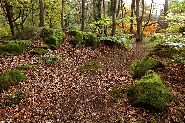 Corstorphine Hilll  -  Photographed October 2010