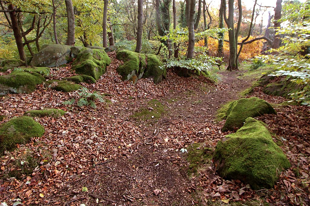 Corstorphine Hilll  -  Photographed October 2010