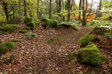 Corstorphine Hilll  -  Photographed October 2010