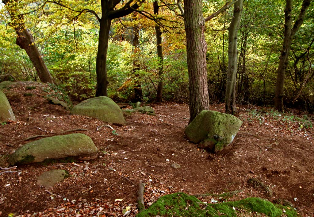 Corstorphine Hilll  -  Photographed October 2010