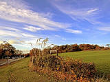 The Tower, Corstorphine Hill, Edinburgh - Photographed October 2010