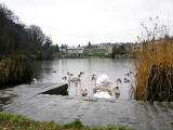 Craiglockhart Pond and Sports Centre