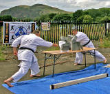 Craigmillar Festival - 2009 - Karate