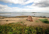 Carved stone fish on the beach at Cramond  -  2009