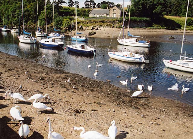 Cramond:  Boats and Swans on the River ALmond and the Old Ferry House
