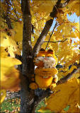 Autumn Colours in October 2014  -  Garfield on a wall and a tree at Dalmeny, Edinburgh