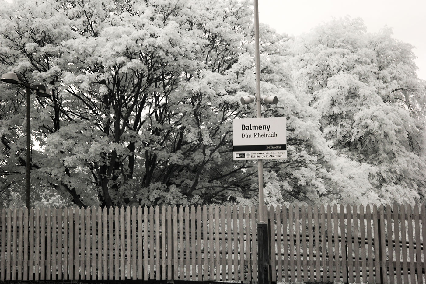 Infra-red Photo  -  Dalmeny Station  -  June 2014