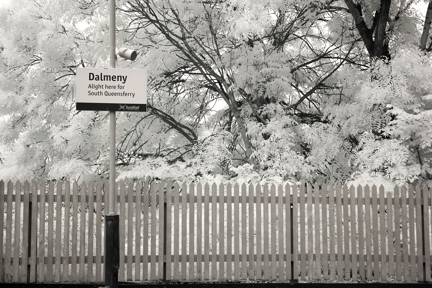 Infra-red Photo  -  Dalmeny Station  -  June 2014