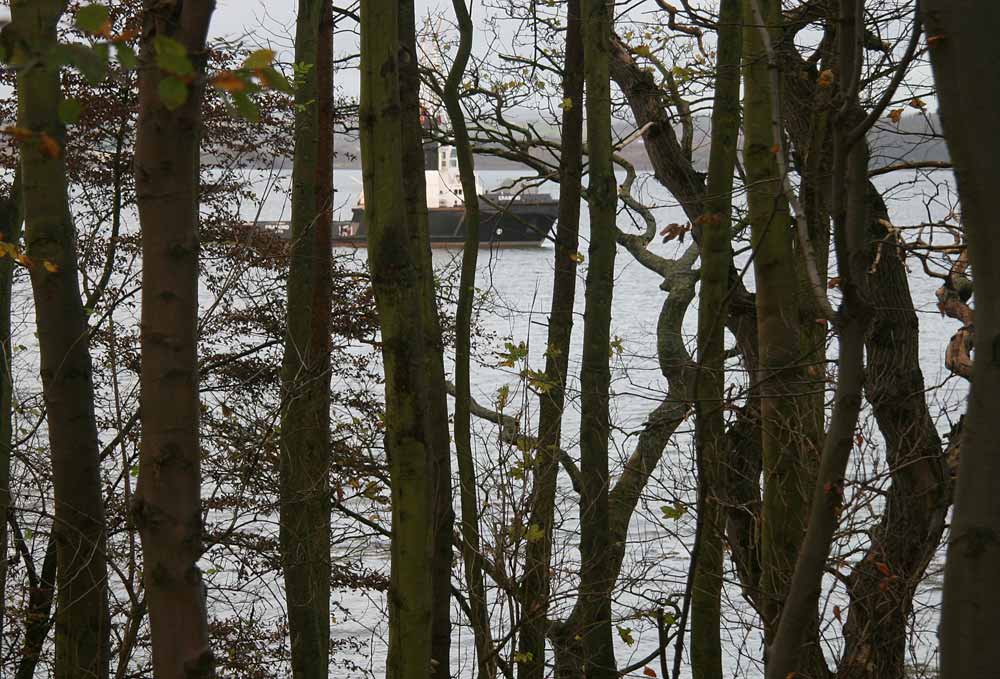 View of Hound Point through the trees from the Dalmeny Estate  -  November 2005