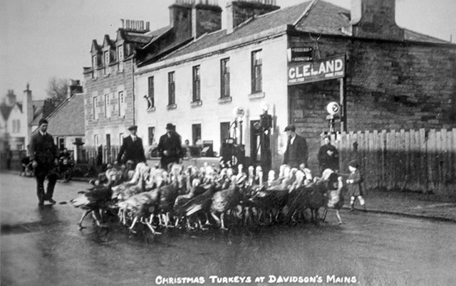 Davidson's Mains  -  Whiteford's urkeys arrive for Christmas  -  1934