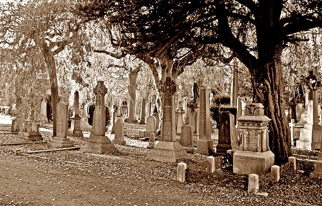 Dean Cemetery  -  Gravestones and Trees