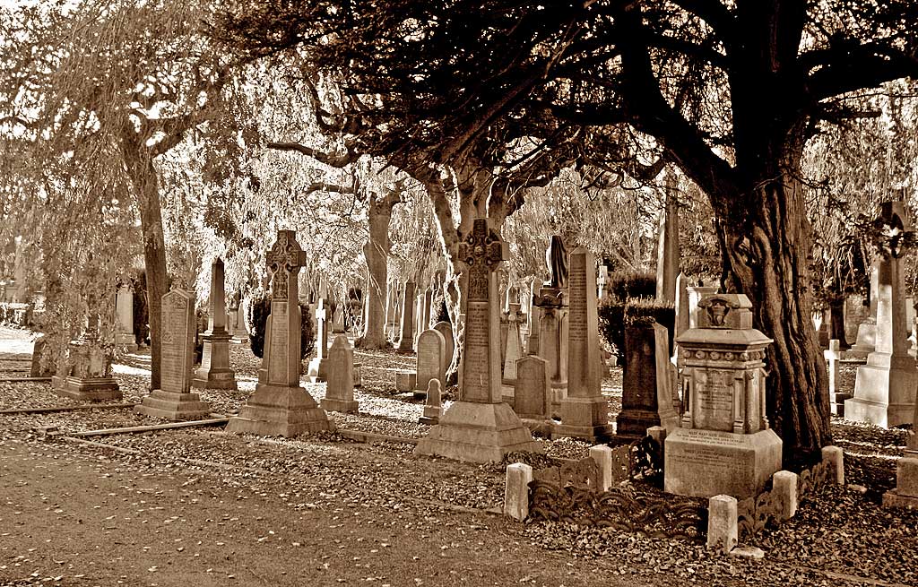 Dean Cemetery  -  Gravestones and Trees