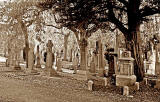 Dean Cemetery  -  Gravestones and Tree