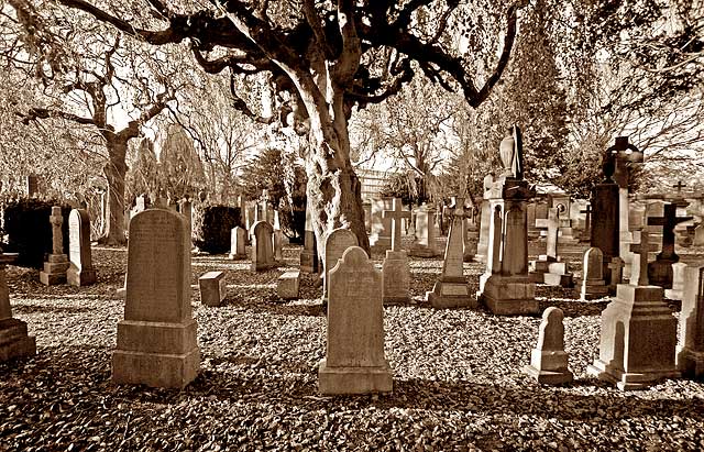 Dean Cemetery  -  Gravestones and Trees