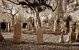 Dean Cemetery  -  Gravestones and Trees