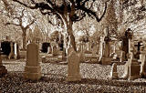 Dean Cemetery  -  Gravestones and Tree