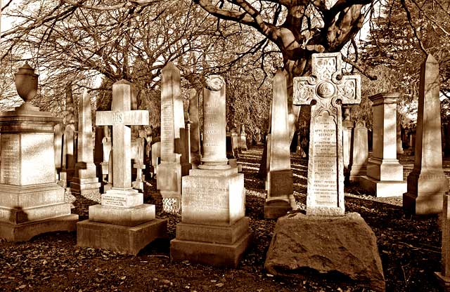 Dean Cemetery  -  Gravestones and Trees