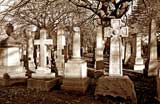 Dean Cemetery  -  Gravestones and Tree