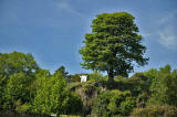 A scene from 'The Life od Jesus Christ' - a play presented at Dundas Castle.