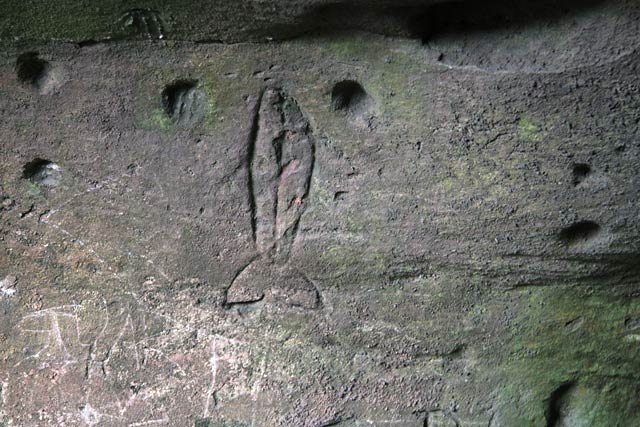 Rock art carvings at Jonathan's Cave, East Wemyss, Fife  -  fish