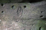 Rock art carvings at Jonathan's Cave, East Wemyss, Fife  -  a fish