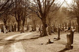 Eastren Cemetery  -  Looking to the south towards the centre of the cemetery