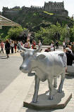 Edinburgh Cow Parade  -  2006  -  Castle Street