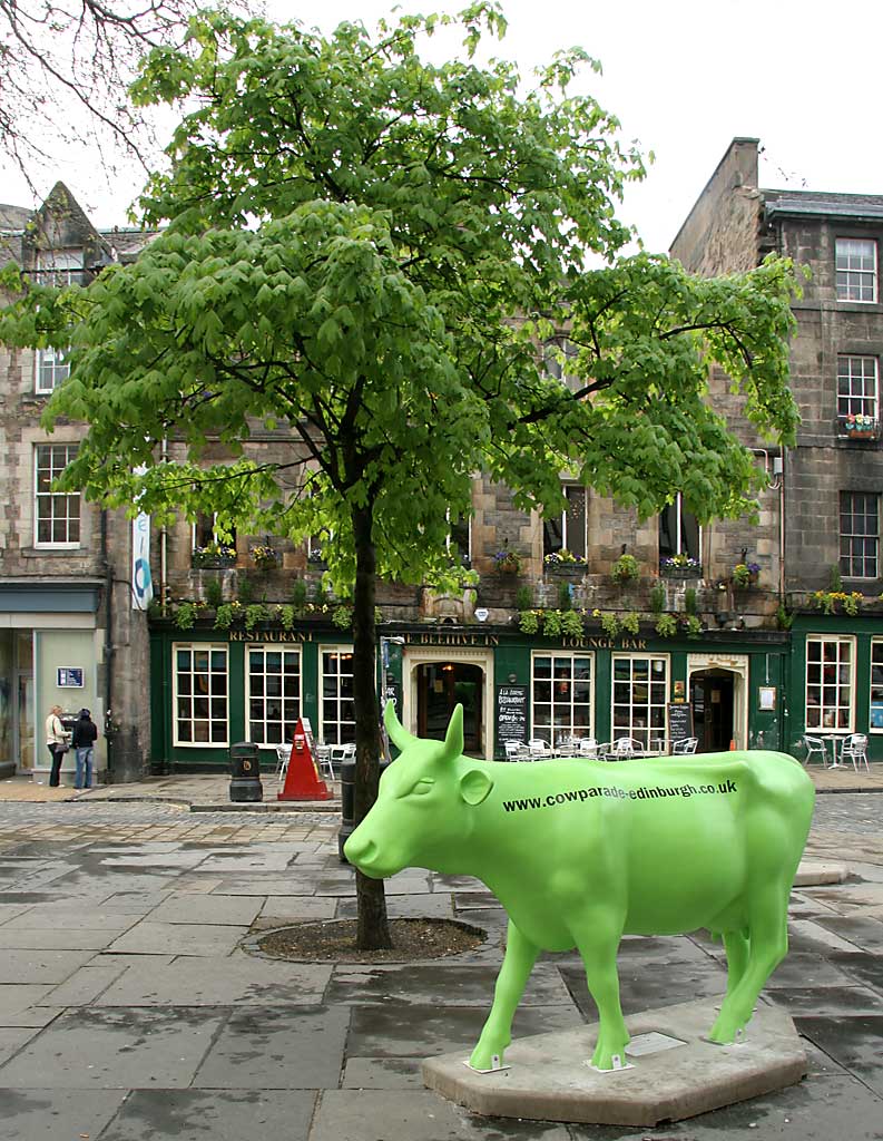 Edinburgh Cow Parade  -  2006  -  The Grassmarket